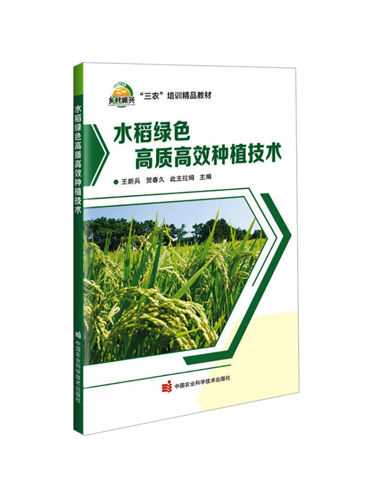 Agriculture Farming Technology - Tecnologia de Cultivo de Arroz Verde