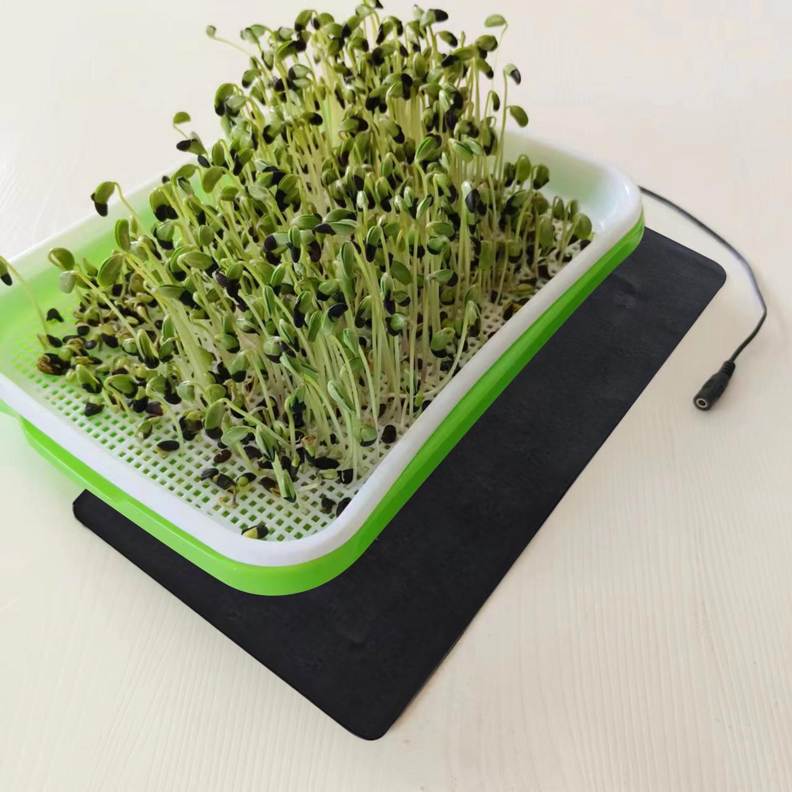 Tapete Térmico para Sementes d - Seedling Heat Mat avaliação e preço